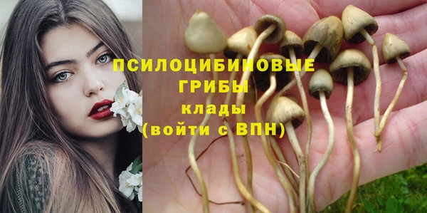 гидра Кинешма