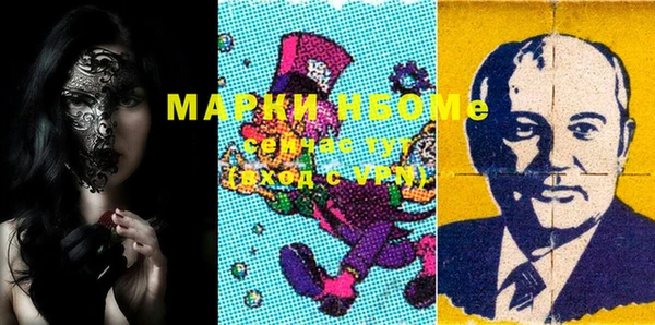 гидра Кинешма
